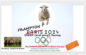 Frampton Sheep & Pony Racing